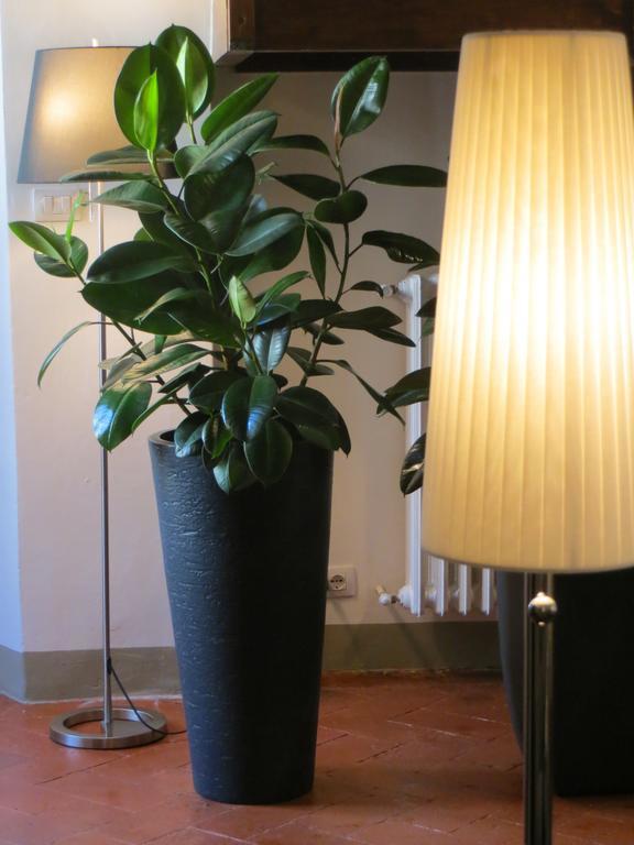 Toscanelli Residenza D'Epoca Флоренция Екстериор снимка